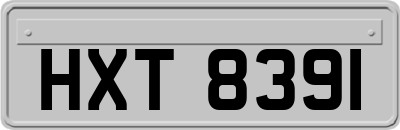 HXT8391