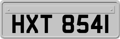HXT8541