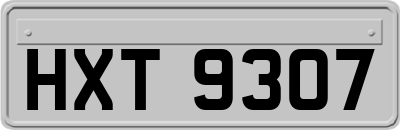 HXT9307
