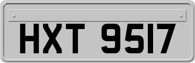 HXT9517