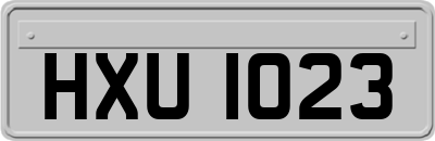 HXU1023