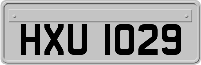 HXU1029