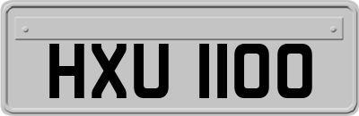 HXU1100