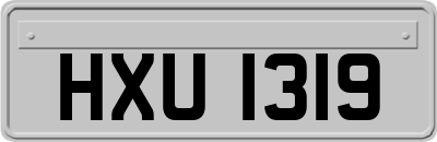 HXU1319
