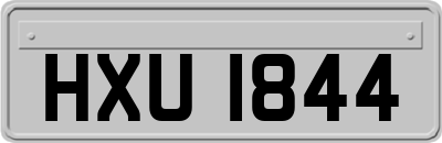 HXU1844