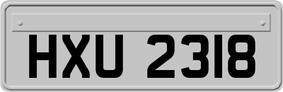 HXU2318