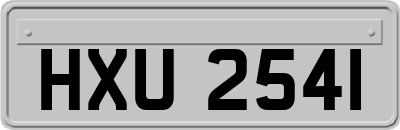 HXU2541