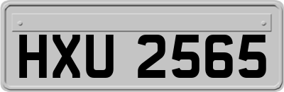 HXU2565