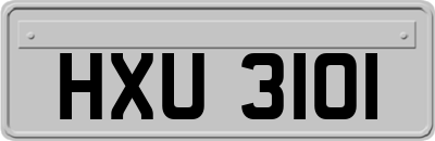 HXU3101