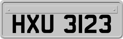 HXU3123