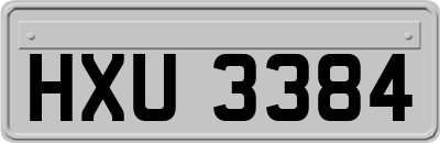 HXU3384