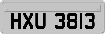 HXU3813