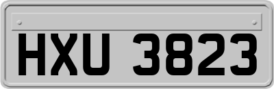 HXU3823