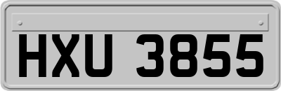 HXU3855