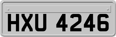 HXU4246