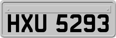 HXU5293