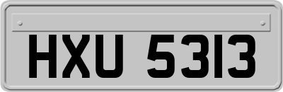 HXU5313