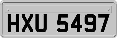 HXU5497