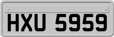 HXU5959