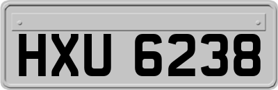 HXU6238