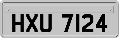 HXU7124