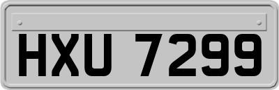 HXU7299