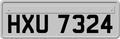 HXU7324