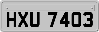 HXU7403