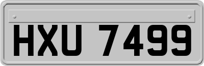 HXU7499