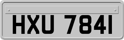 HXU7841