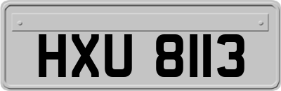 HXU8113