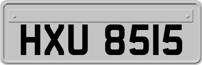 HXU8515