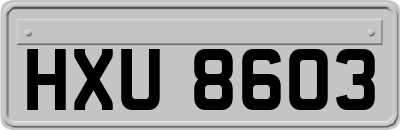 HXU8603