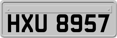 HXU8957