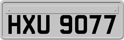 HXU9077