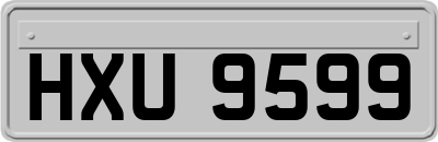 HXU9599