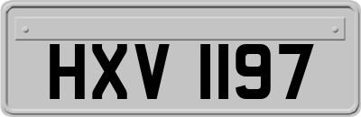 HXV1197