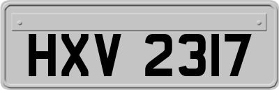 HXV2317