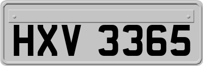 HXV3365