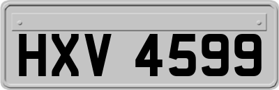 HXV4599