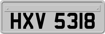 HXV5318