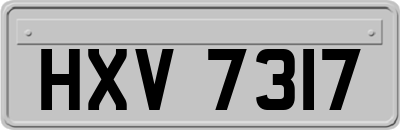 HXV7317