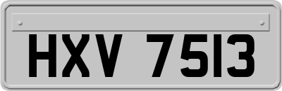 HXV7513