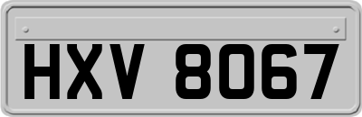 HXV8067