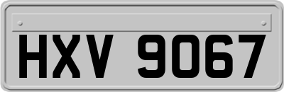 HXV9067