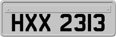 HXX2313