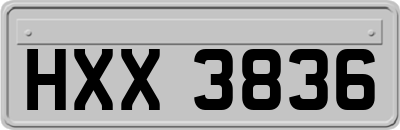HXX3836