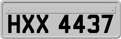 HXX4437