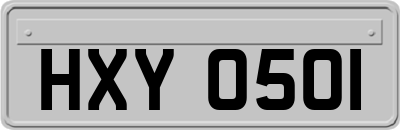 HXY0501