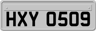 HXY0509